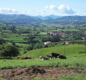 Landschaft in Nordspanien